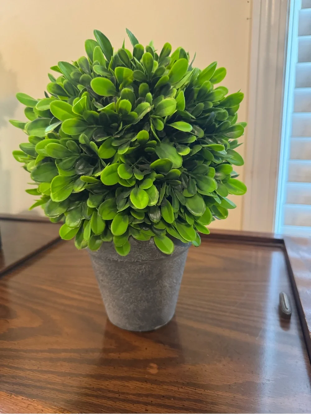 Green Faux Boxwood Topiary in Gray Pot by